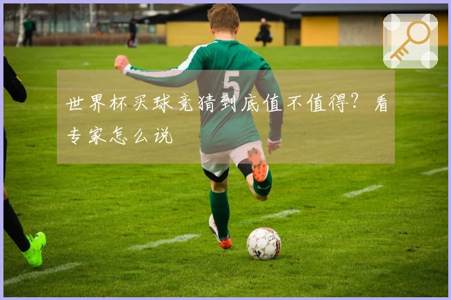 世界杯买球竞猜到底值不值得？看专家怎么说