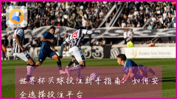 世界杯买球投注新手指南：如何安全选择投注平台