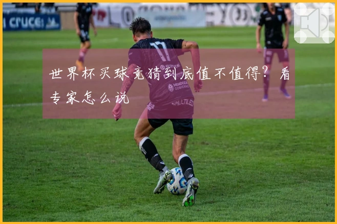 世界杯买球竞猜到底值不值得？看专家怎么说